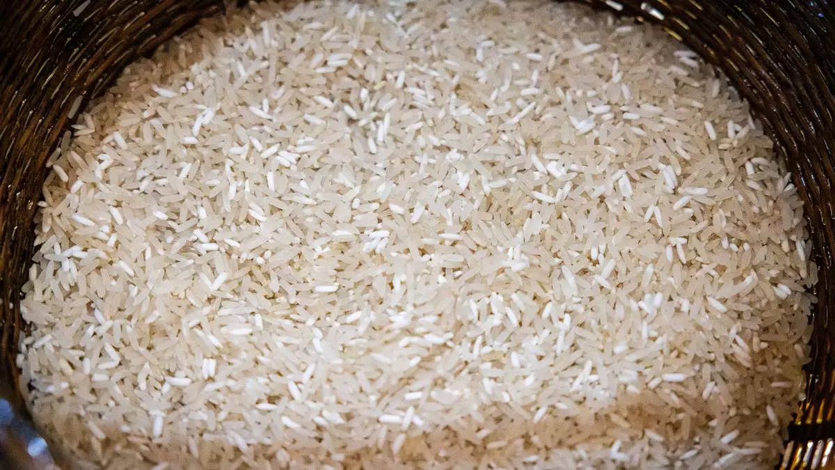 India S Export Restrictions On Rice May Continue In 2024 Study Says   Indias Export Restrictions On Rice May Continue In 2024 Study 